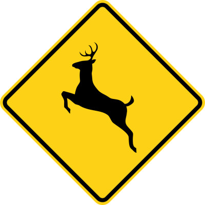 Deer Crossing