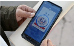 نظام المحاكم الهجرة المعقد يعرقل قضايا المهاجرين في الولايات المتحدة